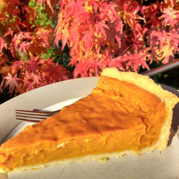 Vegan Pumpkin Pie