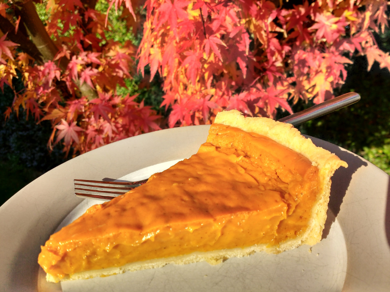 Vegan Pumpkin Pie